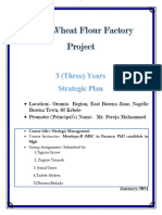 Three Years Strategic Plan (Group Assignment)