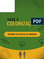 Fase 2 Colonização
