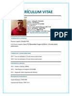 Curriculum Vitae Ale Soto para PDF
