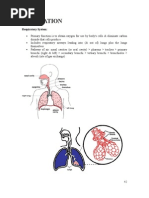 Download Respiration by api-3807124 SN7046532 doc pdf