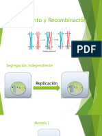 Ligamiento y Recombinación 