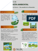 Jueves DDA - Conexión Ambiental - Día Mundial de Los Humedales