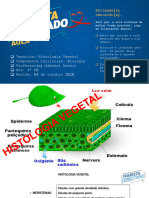 12 Aula On-Line São Luís - Hist. 2