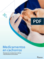 PDF Medicamentos en Cachorros