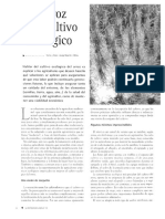 PDF Ferti Ferti 2004 18 32 36