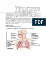 Respiratory System