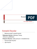 Somatik Duyular