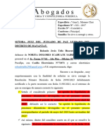 Escrito - Norita-Solicitud de Correccion