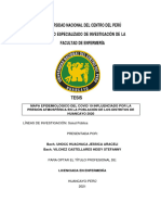 Universidad Nacional Del Centro Del Perú Instituto Especializado de Investigación de La Facultad de Enfermería