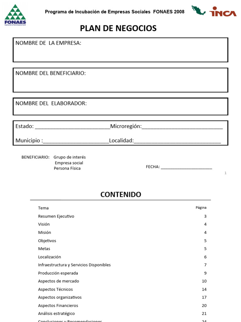 Formato para Estructurar El Plan de Negocio | PDF