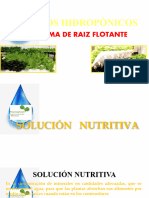 Solucion Nutritiva Cultivos Hidropónicos-1