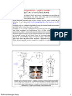 Curs 08 MIDA - Sisteme de Ambalare