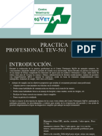 Practica Profesional TEV-501