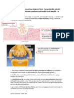 Excitação Do Musculo Esquelético