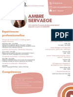 CV Ambre Data Analyst