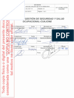 SCJ-EST-19 Uso de Chaleco de Alta Visibilidad Ver.05