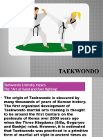 Taekwondo Report