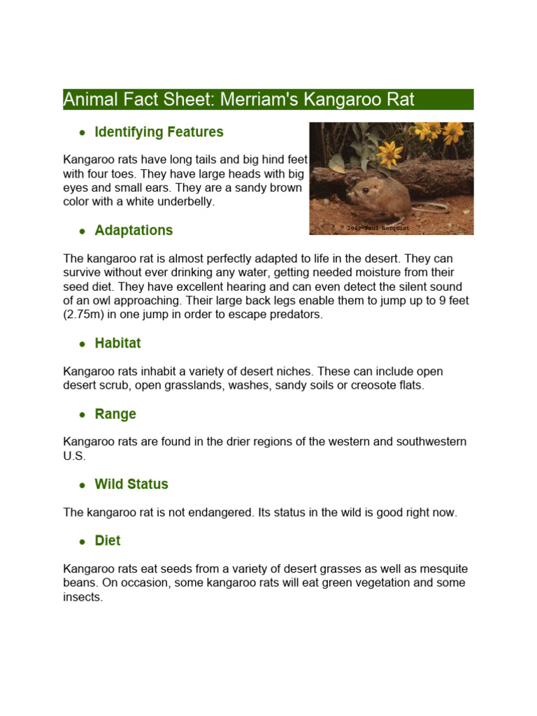 Animal Fact Sheet | PDF