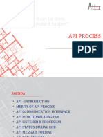API Process
