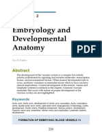 Capítulo 2. Embriología y Anatomía Del Desarrollo.