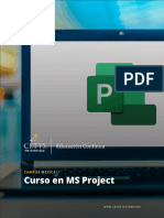 Curso en MS Project