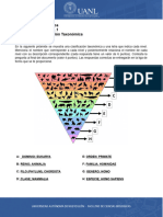 DB - Recurso para Actividad Ponderada 1.1 (Pirámide Clasificación)
