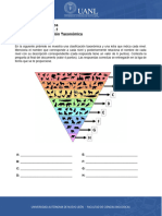 DB - Recurso para Actividad Ponderada 1.1 (Pirámide Clasificación)