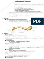 Anatomia de MMSS Aplicada A Ortopedia Ii