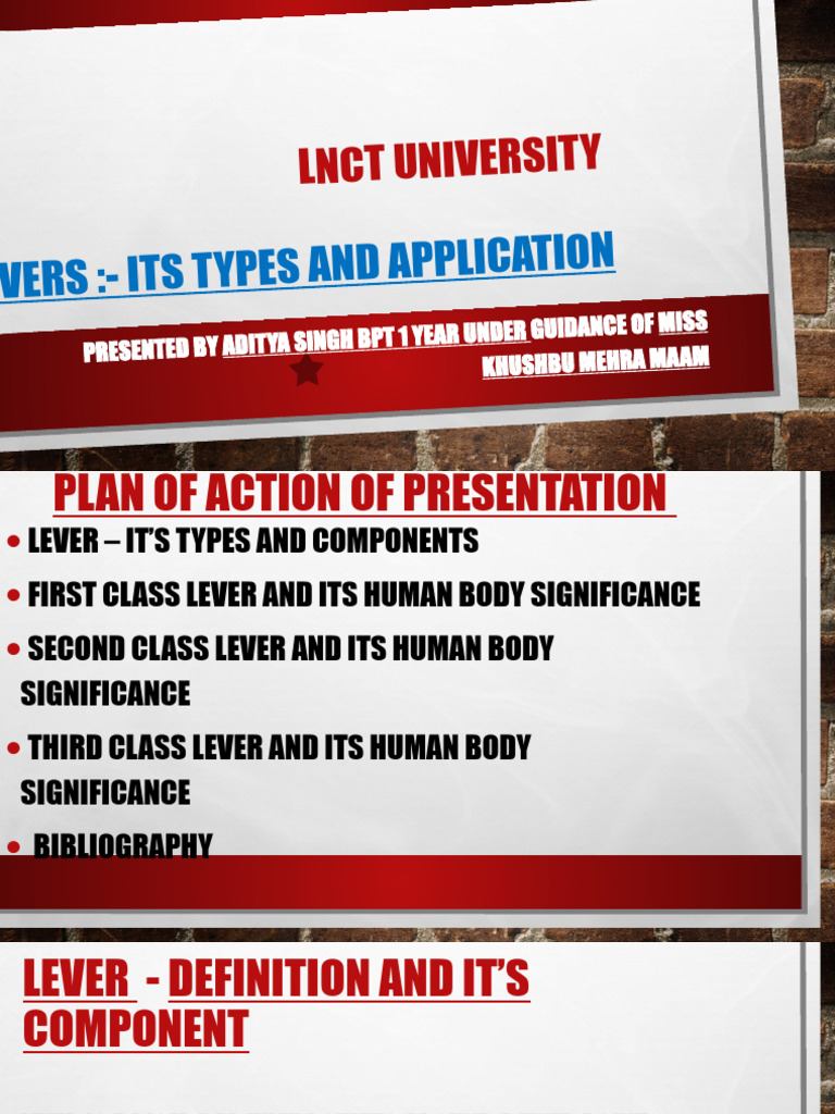 Types of Levers in Human Body | PDF | Lever | Musculoskeletal System