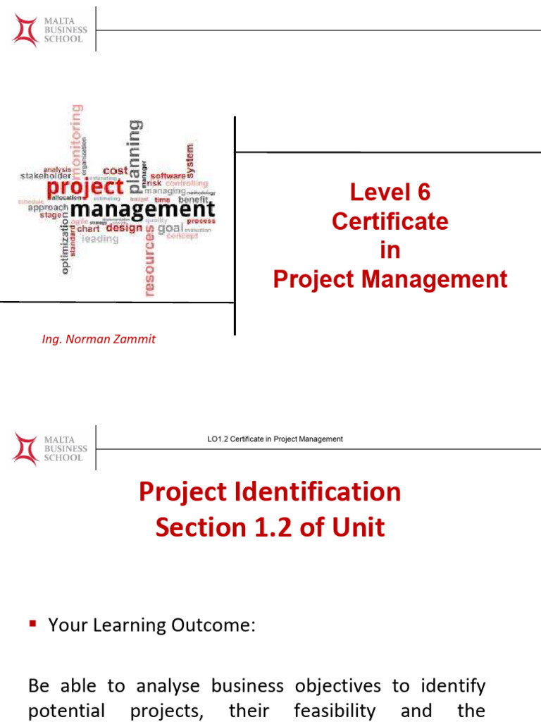 1.2 Project Identification | PDF | Project Management | Strategic ...