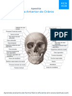 Exercicios Vista Anterior Do Cranio PDF Branco