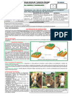 4º - CYT 4-EDA 8 - FICHA - Especiación y Tiempo Geológico.