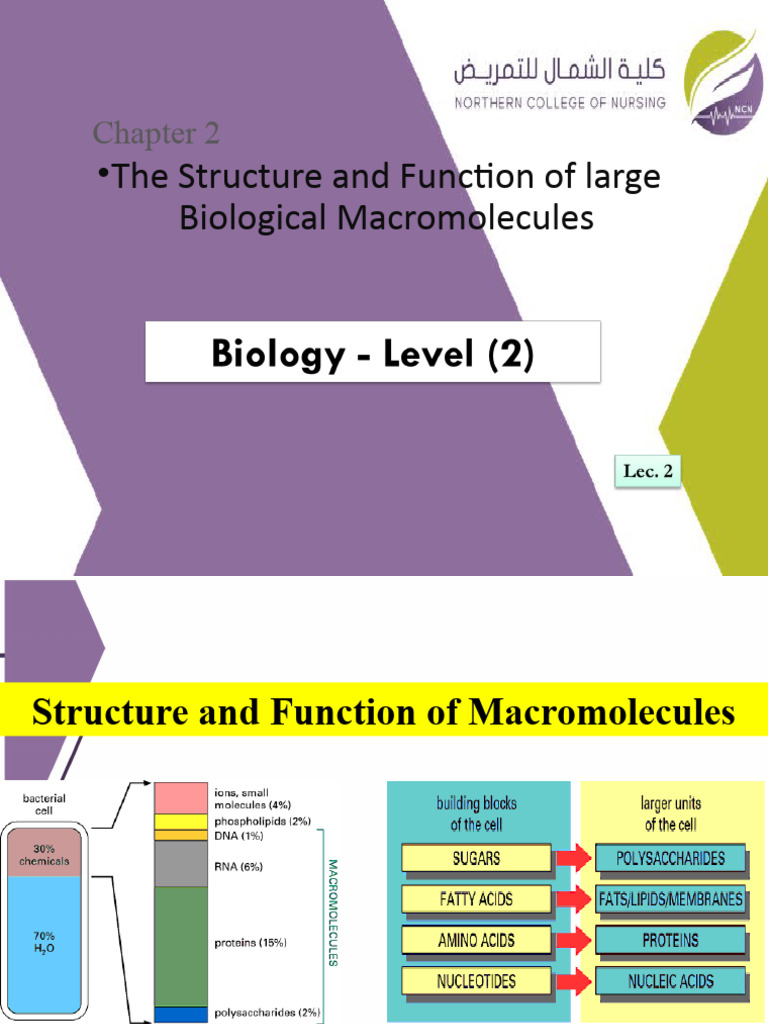 The Structure and Function of Large Biological Macromolecules | PDF ...