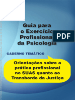 Orientacoes Sobre A Pratica Profissional No Suas Quanto Ao Transborde de Justica