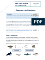 FichasTemáticas Peixes 2ºciclo