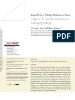 Auger Kajimura 2023 Adipose Tissue Remodeling in Pathophysiology