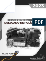 Capa-Extensivo Delegado Full