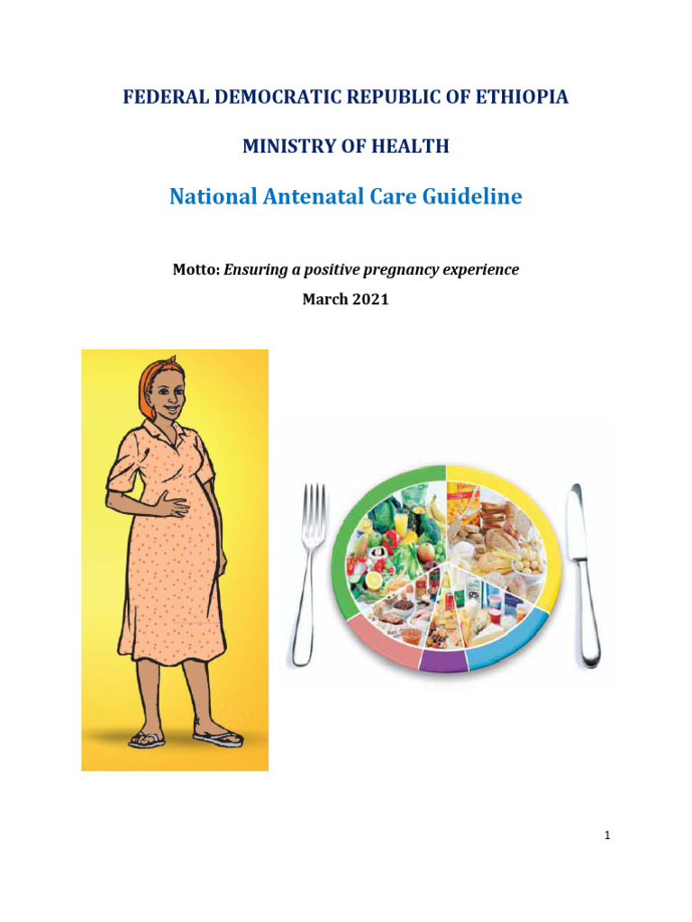 Ethiopia National Antenatal Care Guidelines | PDF | Pregnancy ...