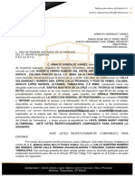 Demanda de Divorcio Incausado Ignacio VS Maria Rosa PDF Nuevo