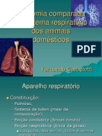 Anatomia Comparada Do Sistema Respirat Rio Dos Animais Dom Sticos