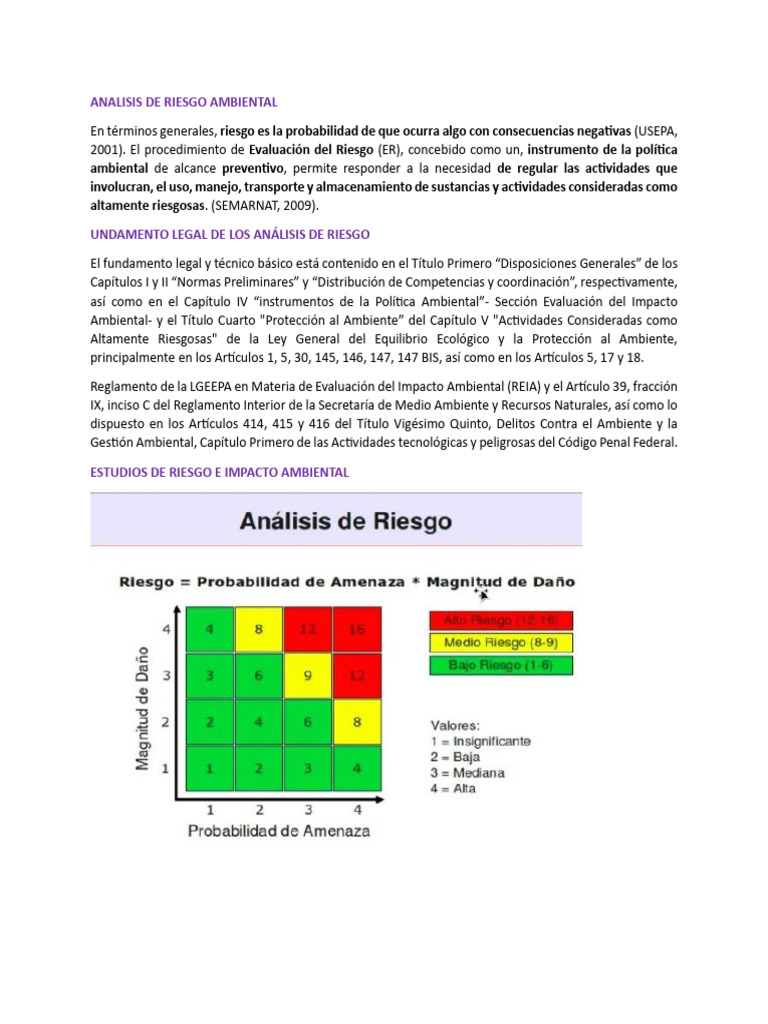 Impacto Ambiental y Analisis de Riesgo 3 | PDF | Entorno natural | Riesgo