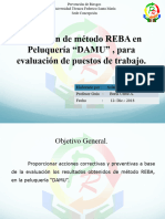 Prevención de Riesgos-IPRLA (Autoguardado)