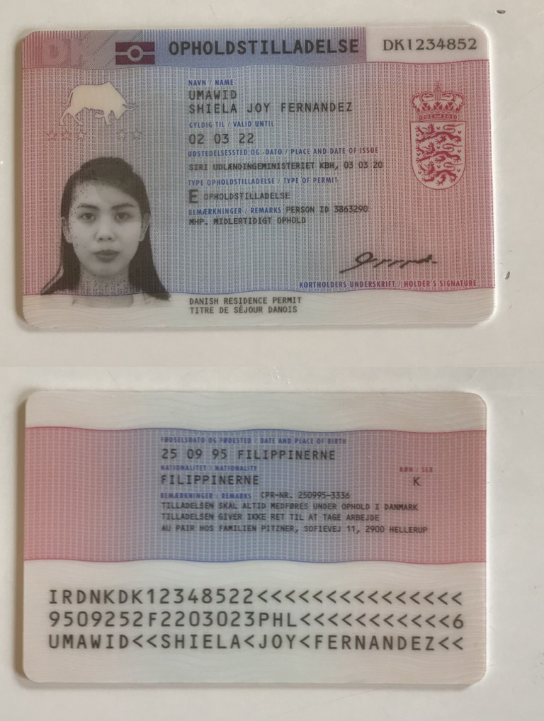 Denmark Aupair Visa | PDF