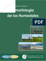 Geomorfologia de Humedales