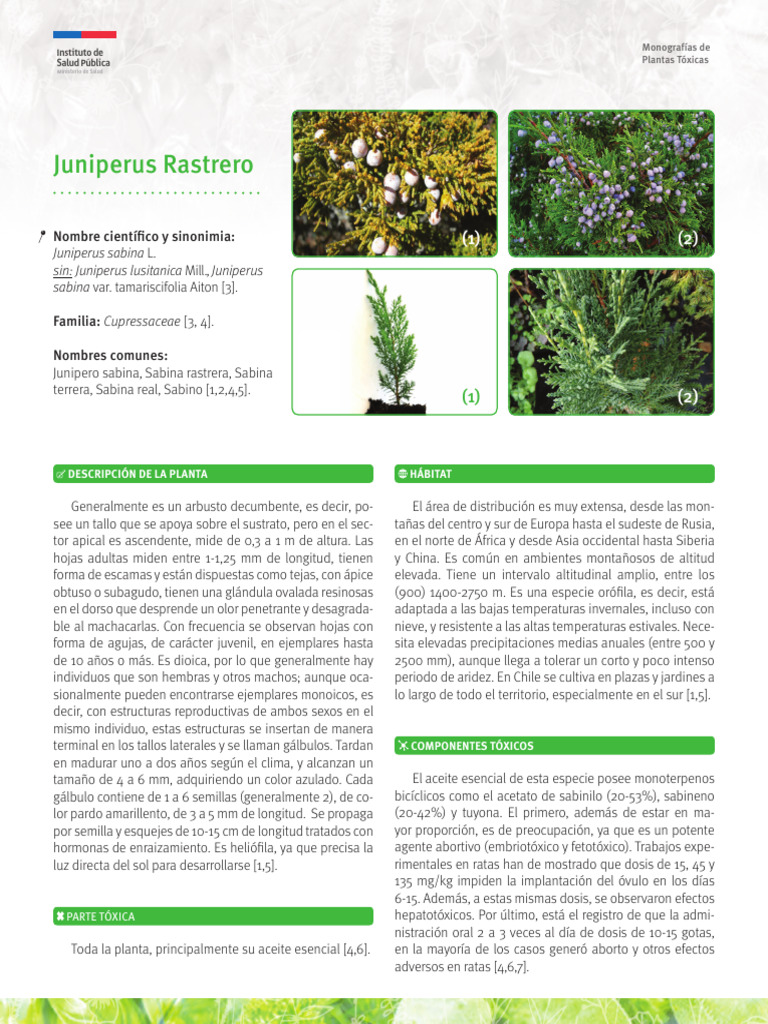 Juniperus Rastrero 13092021A | PDF | Tecnología