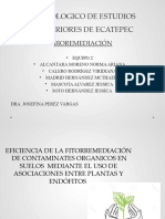 Eficiencia de La Fitorremediación