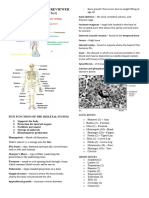 The Skeletal System Reviewer