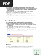 Nucleic Acid 1