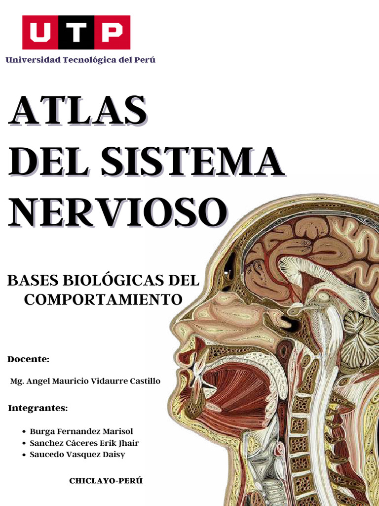 Atlas Del Sistema Nervioso Pdf Sistema Nervioso Sistema Nervioso