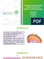 Presion Intracraneal Pic PDF